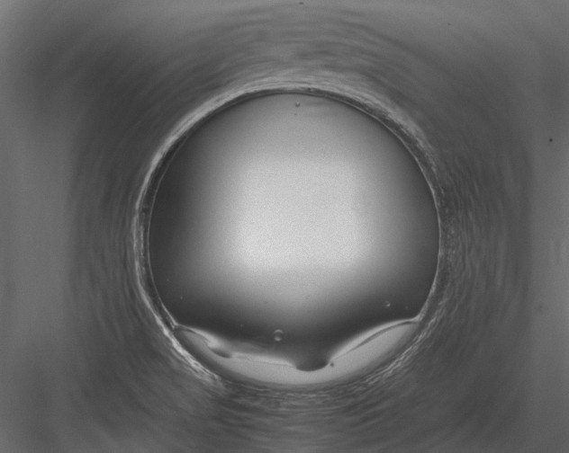 X0000083001517200702230113