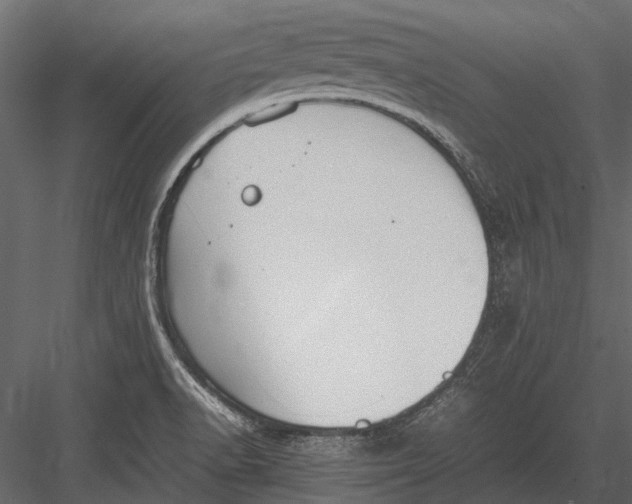 X0000083001518200702230113