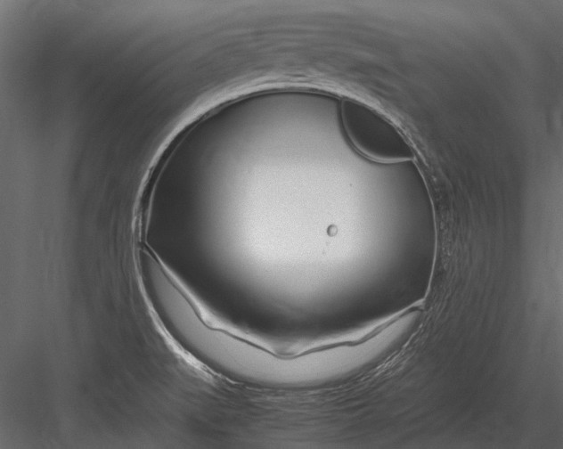 X0000083001519200702230113