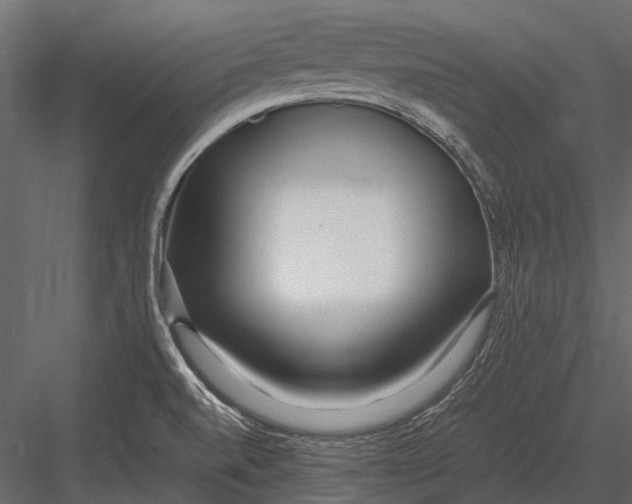 X0000083001520200702230113