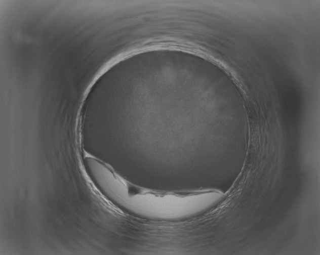 X0000083001522200702230113