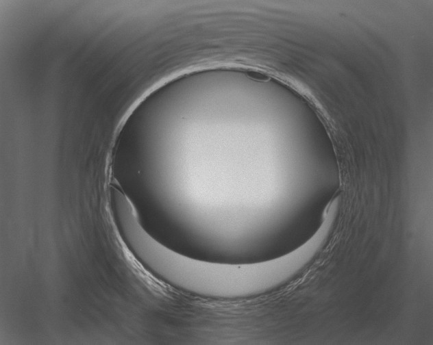 X0000083001524200702230113