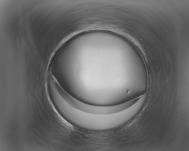 X0000083001525200702230113