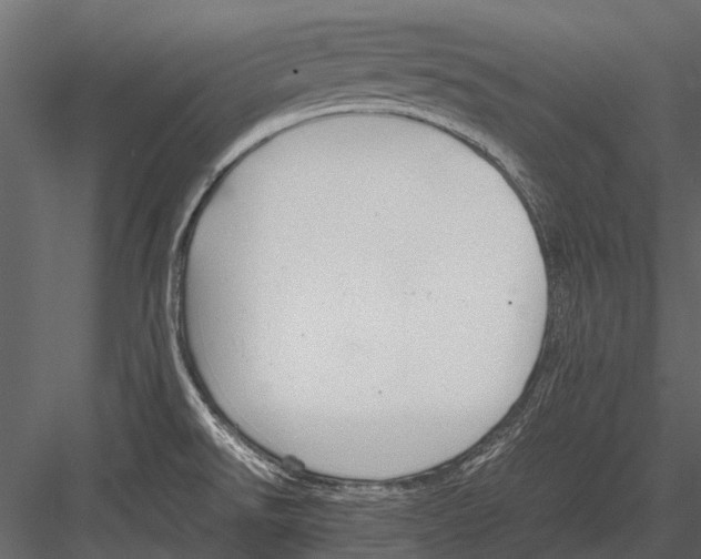 X0000083001526200702230113