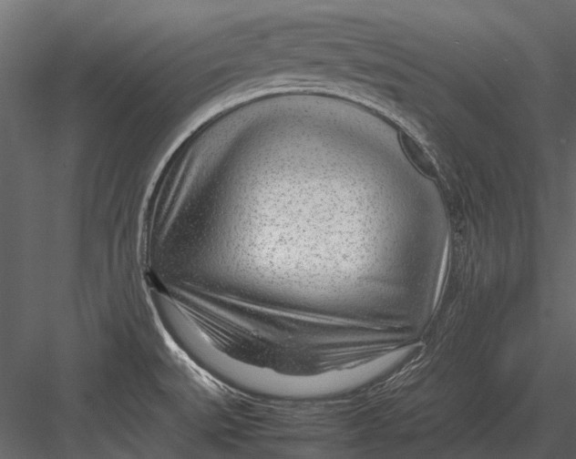 X0000083001527200702230113