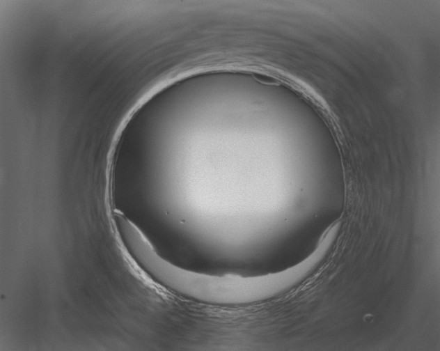 X0000083001528200702230113