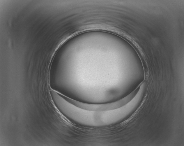 X0000083001529200702230113