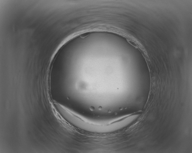 X0000083001530200702230113