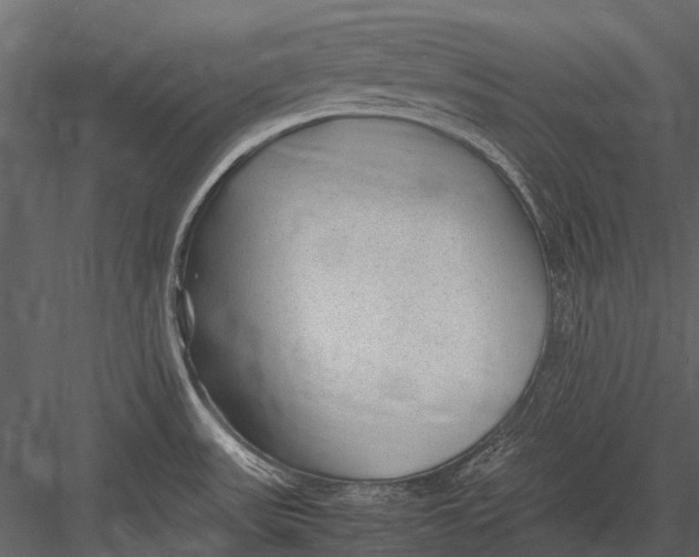 X0000083001531200702230113