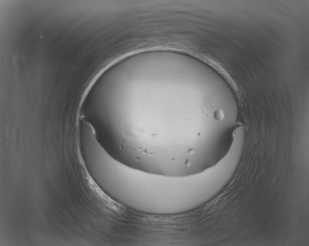 X0000083001532200702230113