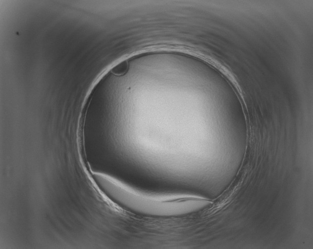 X0000083001533200702230113