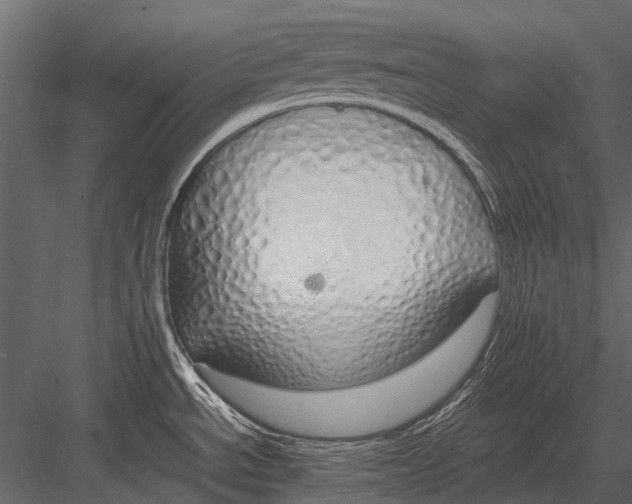 X0000083001534200702230113