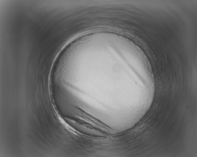 X0000083001535200702230113