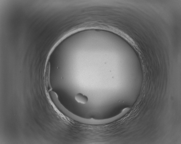 X0000083001536200702230113