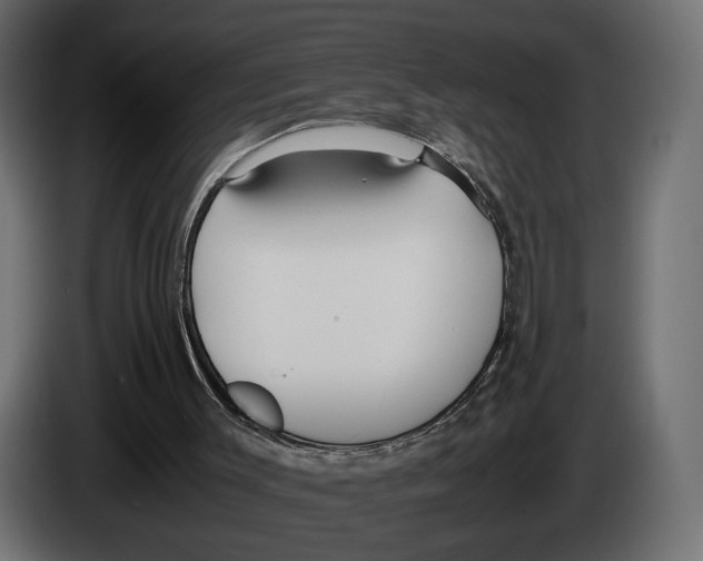 X0000083000003200703020913