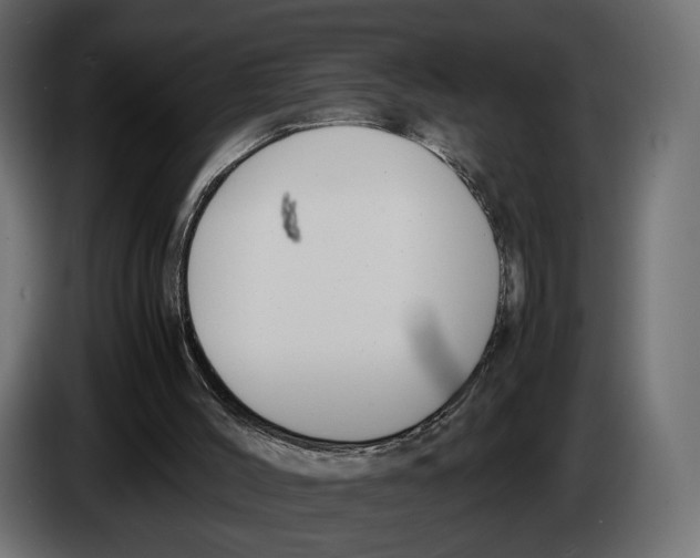 X0000083000004200703020913