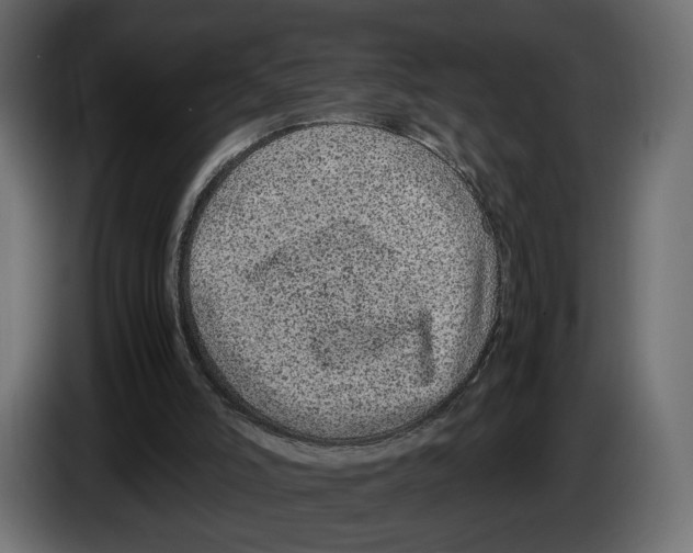 X0000083000006200703020913