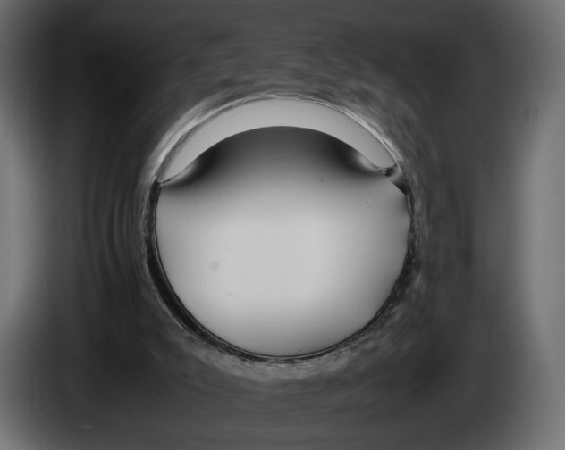 X0000083000007200703020913