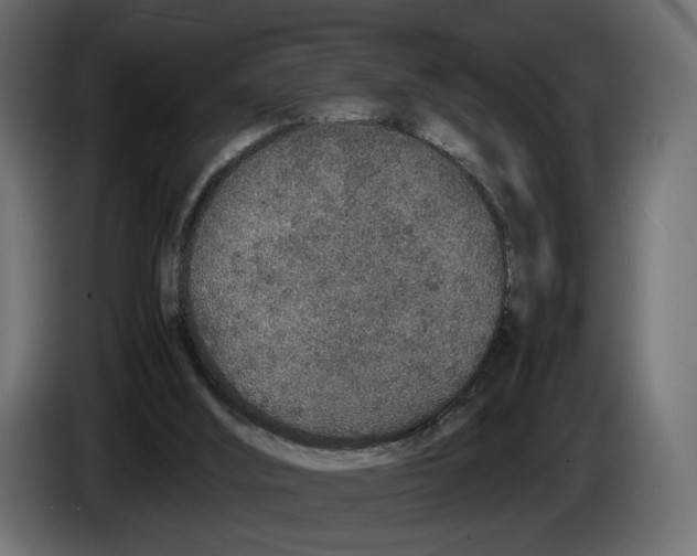 X0000083000012200703020913