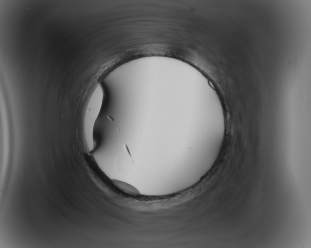 X0000083000013200703020913