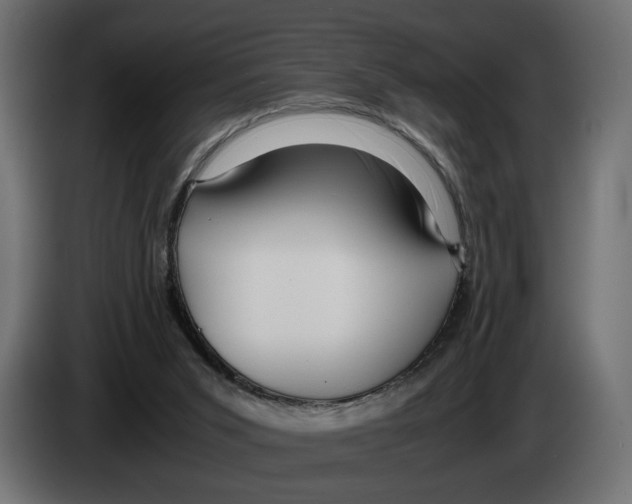 X0000083000015200703020913