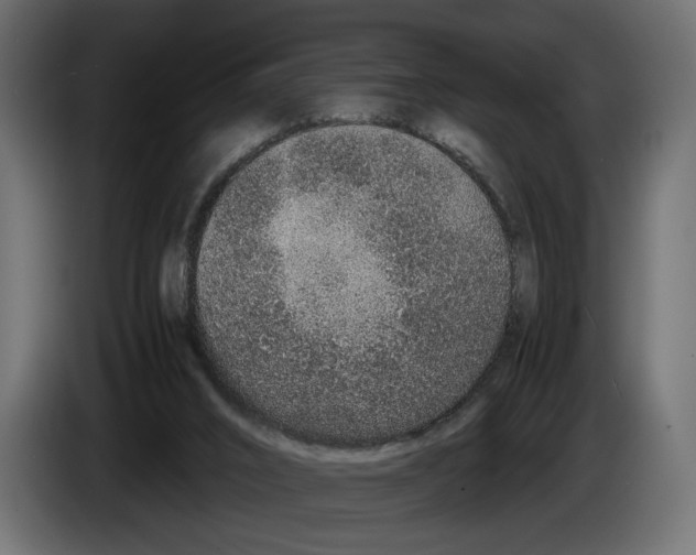 X0000083000016200703020913