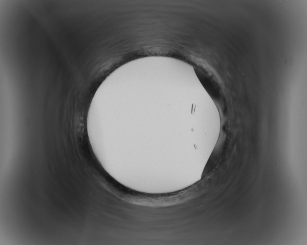 X0000083000017200703020913