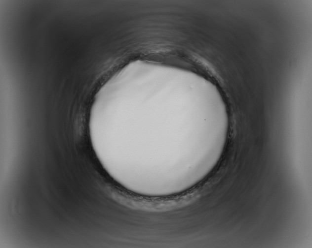 X0000083000018200703020913