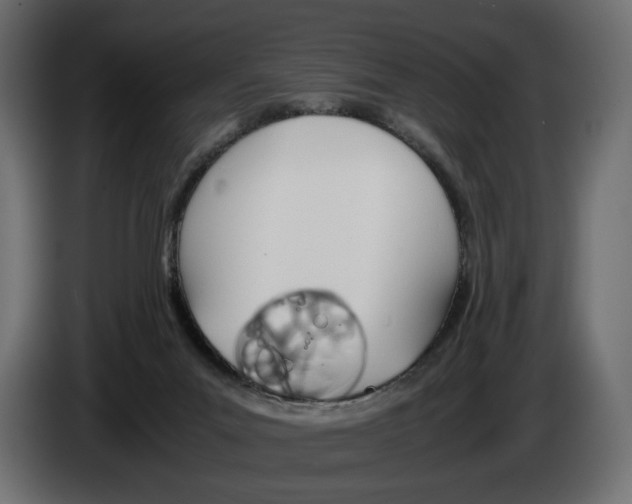 X0000083000023200703020913