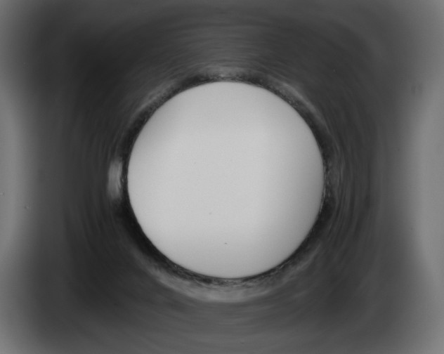 X0000083000024200703020913