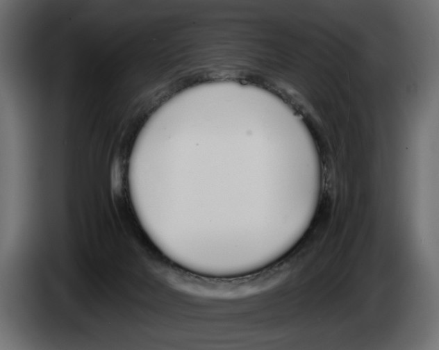 X0000083000026200703020913