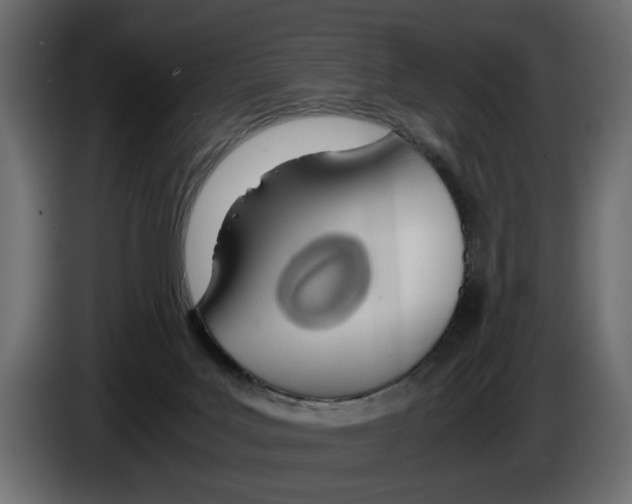 X0000083000027200703020913