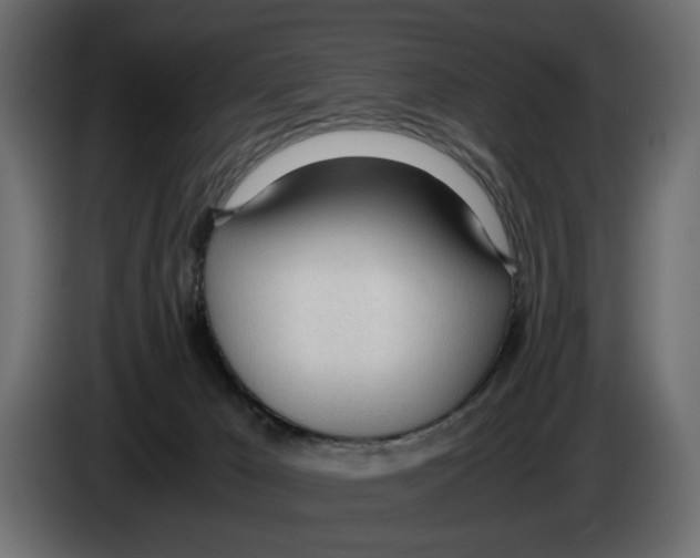 X0000083000029200703020913