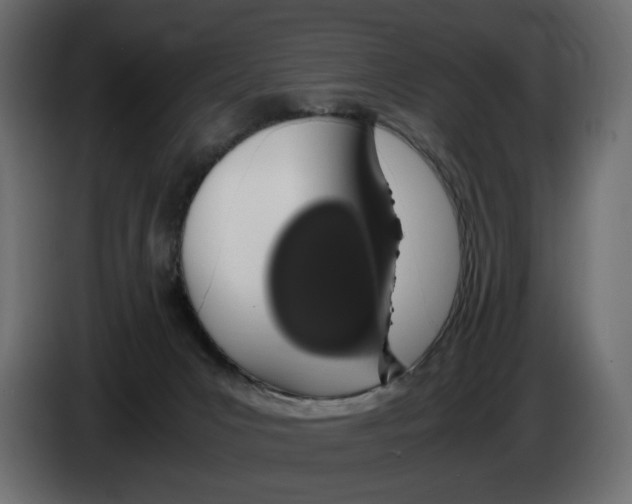 X0000083000031200703020913