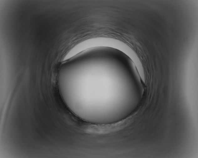 X0000083000033200703020913