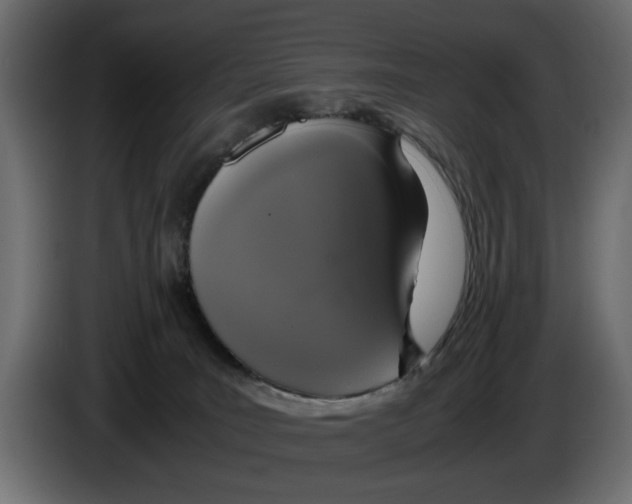 X0000083000035200703020913