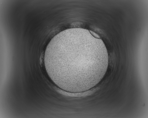 X0000083000038200703020913