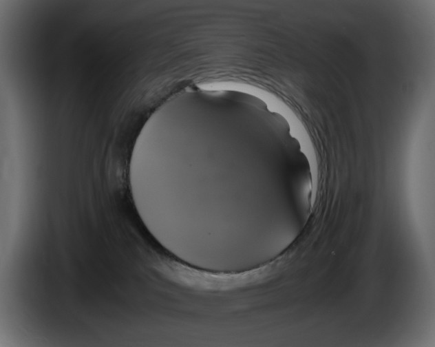 X0000083000039200703020913