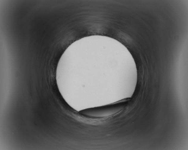 X0000083000040200703020913