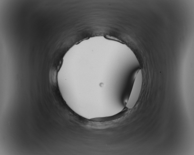 X0000083000041200703020913