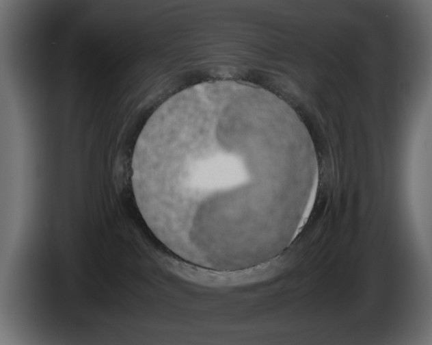 X0000083000043200703020913