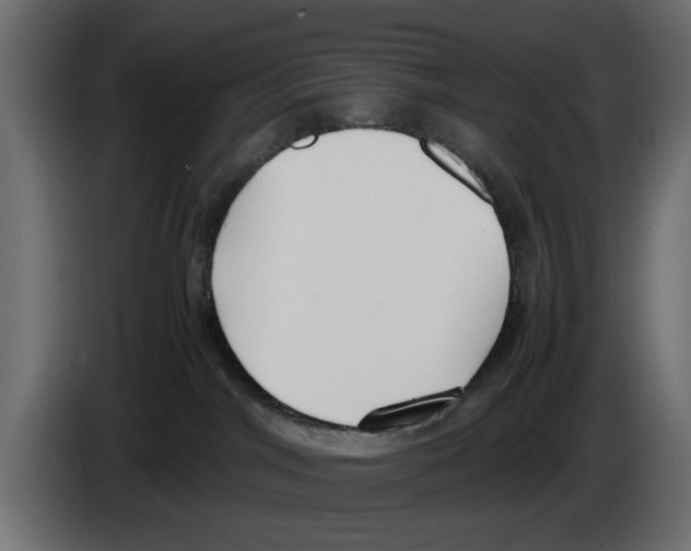 X0000083000044200703020913