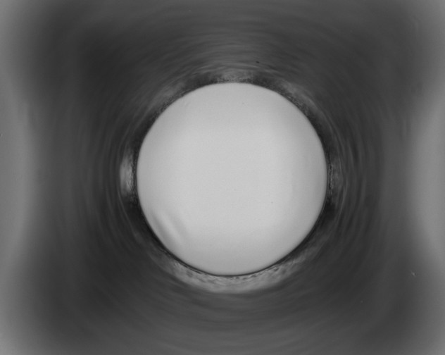 X0000083000046200703020913