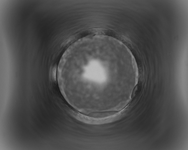 X0000083000047200703020913