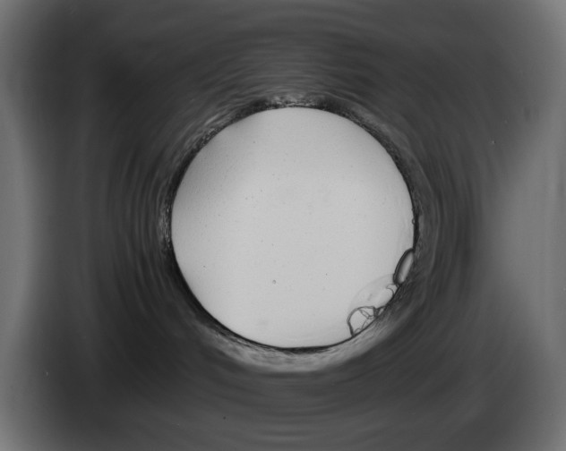 X0000083000048200703020913