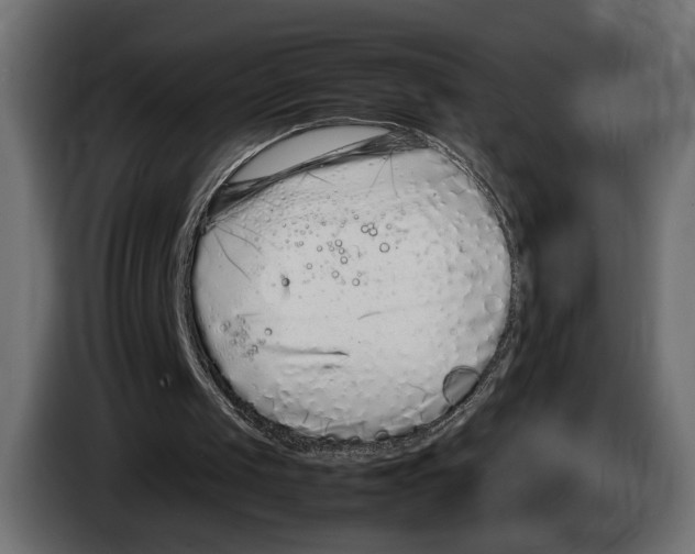 X0000083000049200703020912