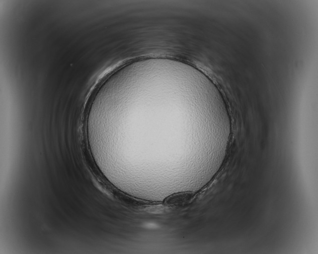 X0000083000050200703020912