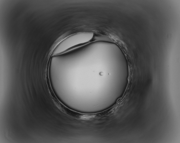 X0000083000051200703020912