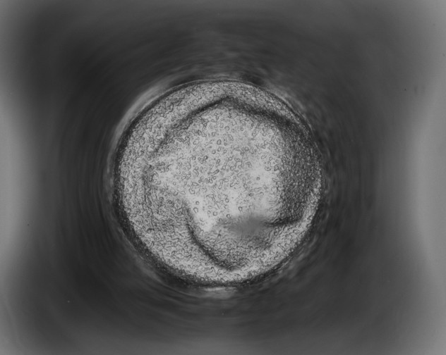 X0000083000053200703020912