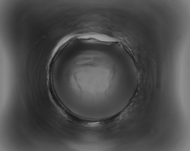 X0000083000054200703020912